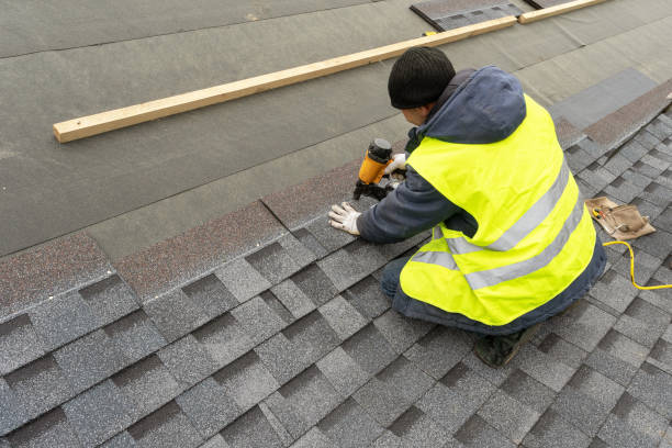 Best Roof Moss and Algae Removal  in Ahoskie, NC